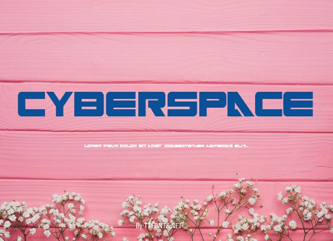 Cyberspace example