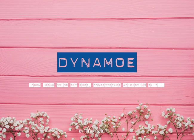 Dynamoe example