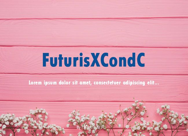 FuturisXCondC example