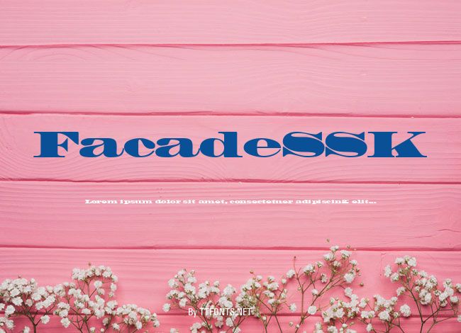 FacadeSSK example