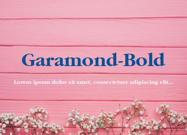 Garamond-Bold example