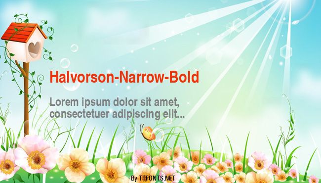 Halvorson-Narrow-Bold example