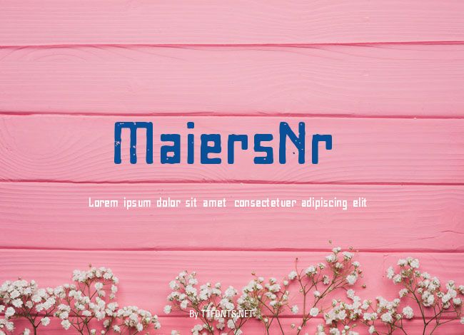 MaiersNr8 example