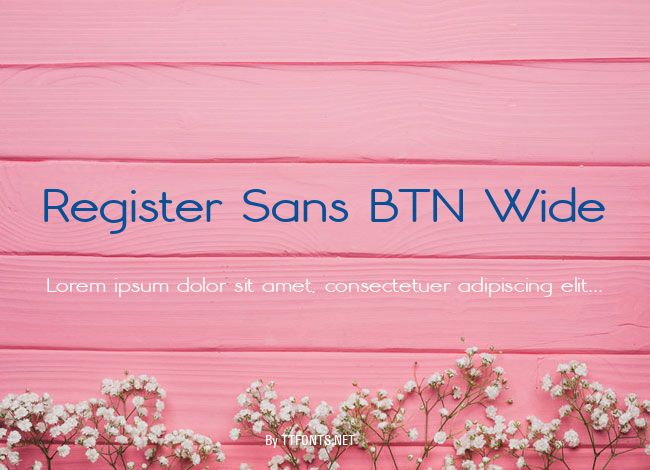 Register Sans BTN Wide example