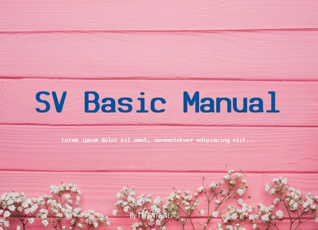 SV Basic Manual example