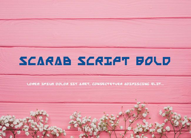 Scarab Script Bold example