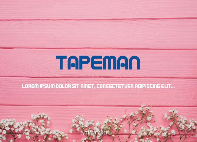 TAPEMAN example