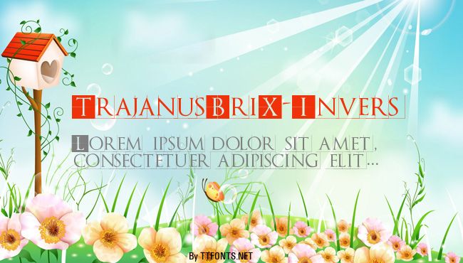 TrajanusBriX-Invers example