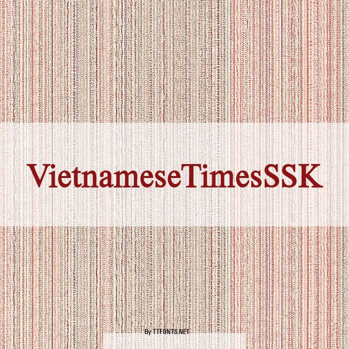 VietnameseTimesSSK example