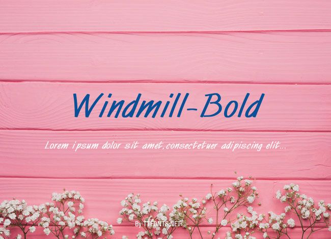 Windmill-Bold example