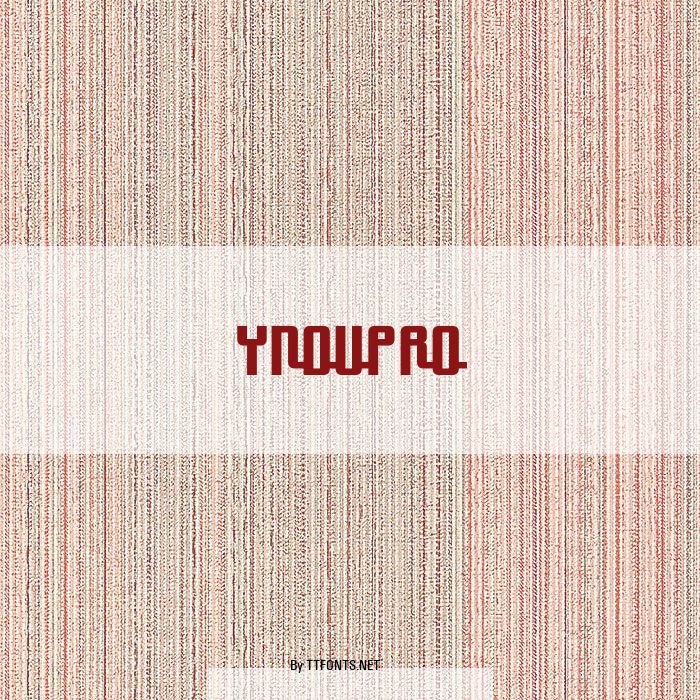 YnduPro example