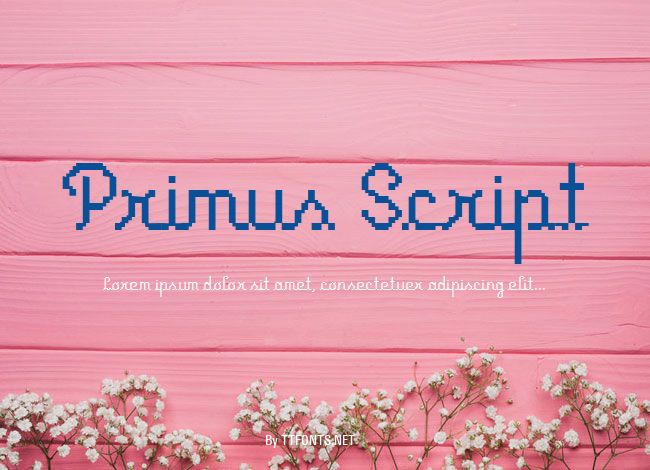 Primus Script example