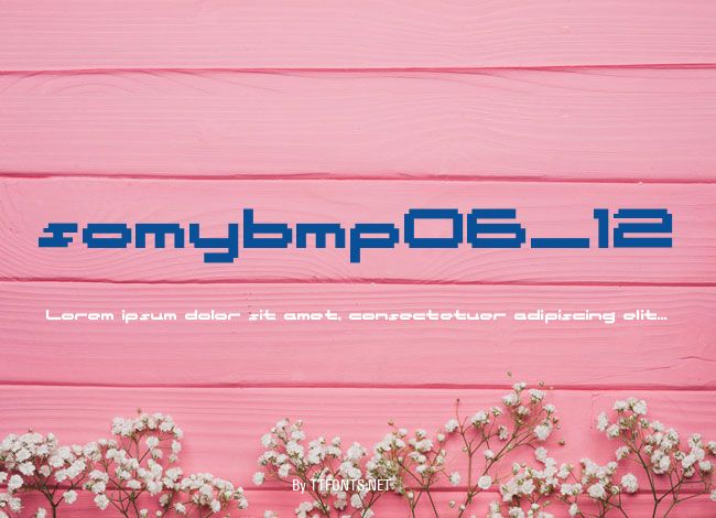 somybmp06_12 example