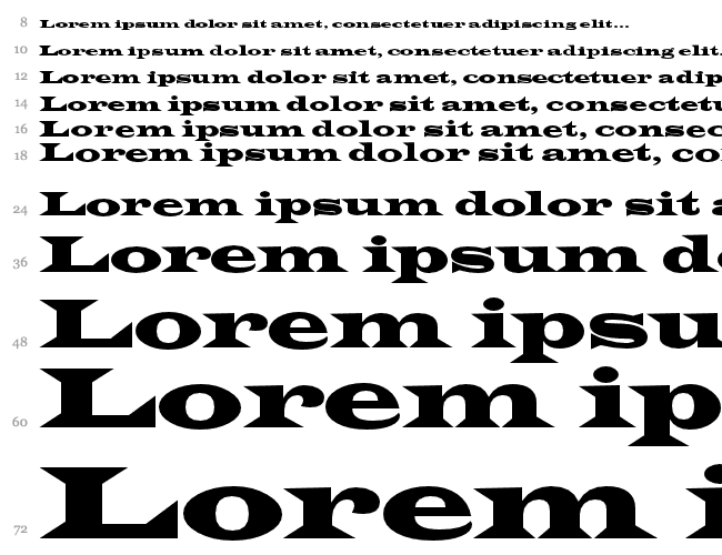 Wide Latin Fonts 85