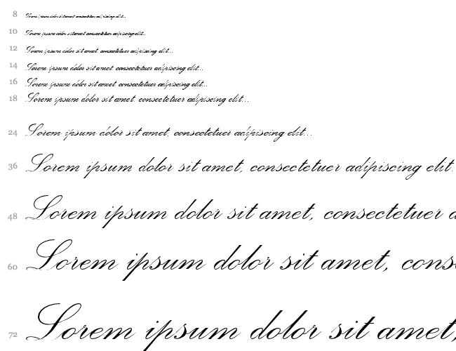 Palace Script MT Cascata 