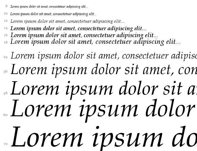 Palatino Linotype Cascata 