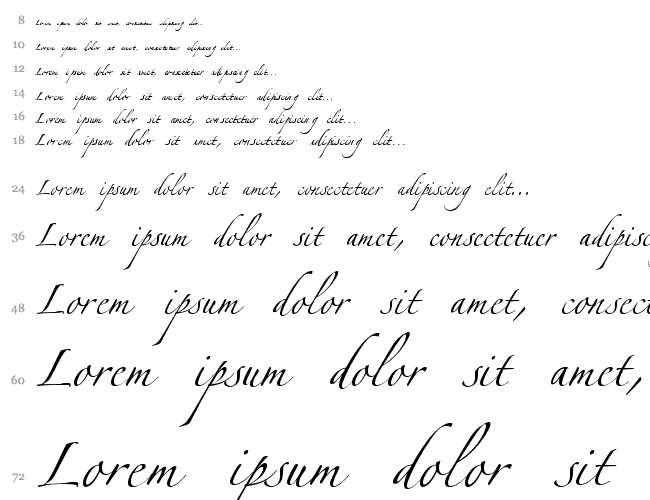Zapfino Linotype One Cascada 