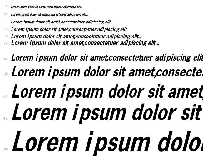 Abell Condensed Bold Oblique Cachoeira 