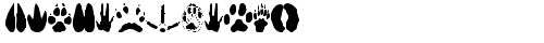 AnimalTracks Regular truetype font