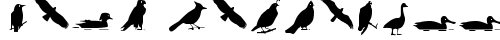 Bird Silhouettes reverse Regular free truetype font