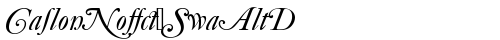 CaslonNo540SwaAltD Italic TrueType-Schriftart