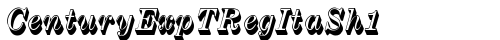 CenturyExpTRegItaSh1 Regular truetype шрифт