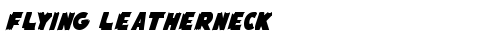 Flying Leatherneck Regular truetype font