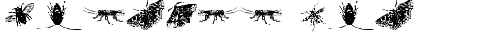 insects one Regular TrueType-Schriftart