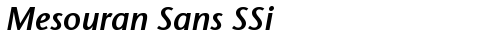 Mesouran Sans SSi Bold truetype шрифт бесплатно