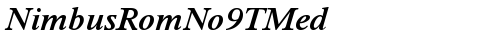 NimbusRomNo9TMed Italic Truetype-Schriftart kostenlos