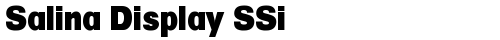 Salina Display SSi Regular truetype шрифт бесплатно