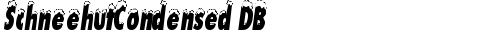 SchneehutCondensed DB Regular truetype font