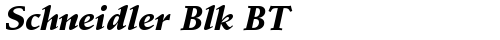 Schneidler Blk BT Bold Italic truetype шрифт бесплатно