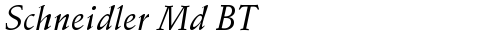 Schneidler Md BT Italic free truetype font