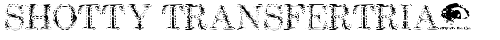 Shotty TransferTrial Regular TrueType-Schriftart