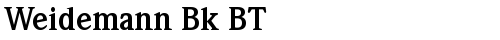 Weidemann Bk BT Bold truetype шрифт