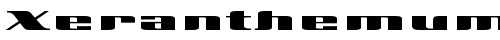 Xeranthemum Regular truetype font