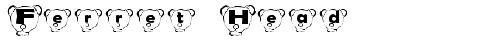 Ferret Head Normal truetype font