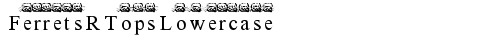 FerretsRTopsLowercase Regular truetype font