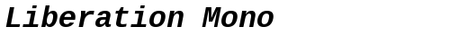 Liberation Mono Bold Italic free truetype font