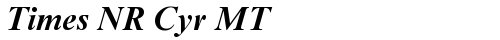 Times NR Cyr MT Bold Inclined TrueType-Schriftart