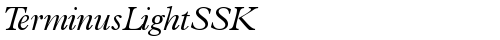 TerminusLightSSK Italic truetype fuente