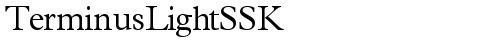 TerminusLightSSK Regular truetype шрифт