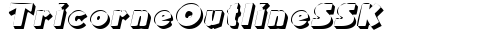 TricorneOutlineSSK Italic free truetype font
