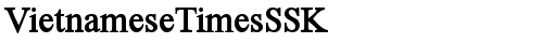 VietnameseTimesSSK Bold font TrueType