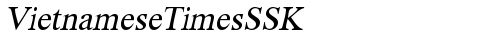 VietnameseTimesSSK Italic font TrueType