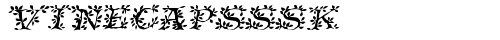 VineCapsSSK Italic truetype font