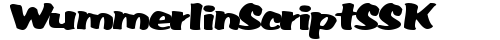 WummerlinScriptSSK Bold truetype шрифт