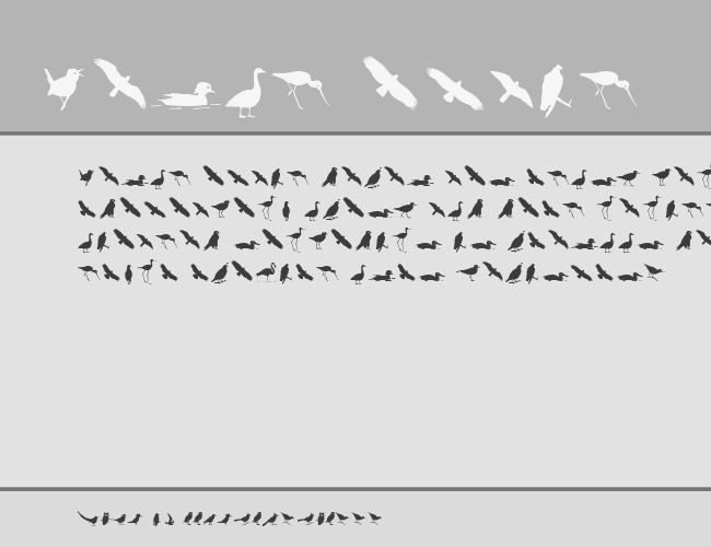 Bird Silhouettes reverse example