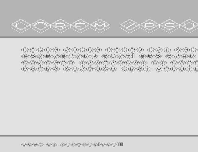 NevelType example